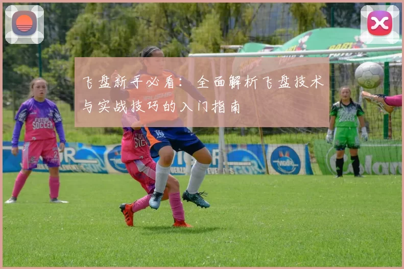 飞盘新手必看：全面解析飞盘技术与实战技巧的入门指南