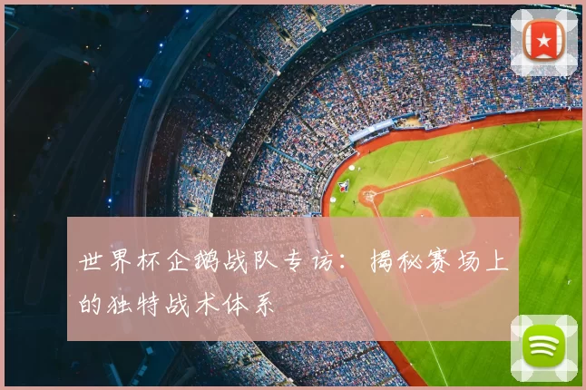 世界杯企鹅战队专访:揭秘赛场上的独特战术体系