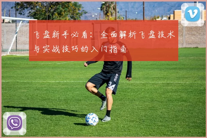 飞盘新手必看：全面解析飞盘技术与实战技巧的入门指南