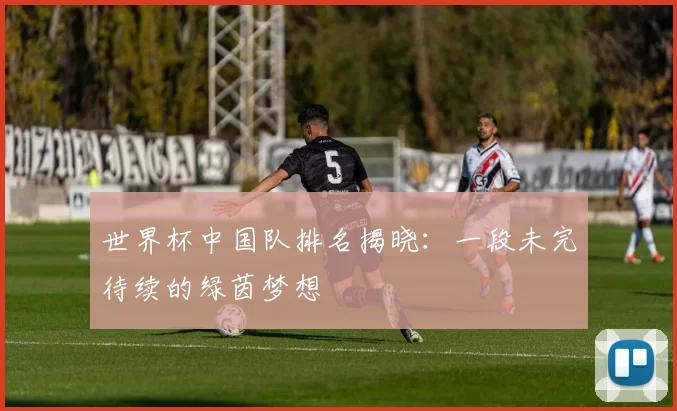 世界杯中国队排名揭晓:一段未完待续的绿茵梦想