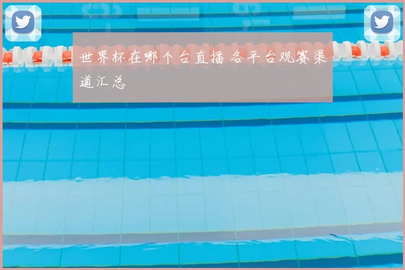 世界杯在哪个台直播 各平台观赛渠道汇总
