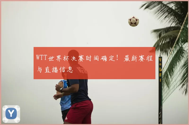 WTT世界杯决赛时间确定!最新赛程与直播信息