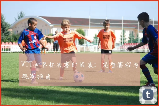 WTT世界杯决赛时间表:完整赛程与观赛指南
