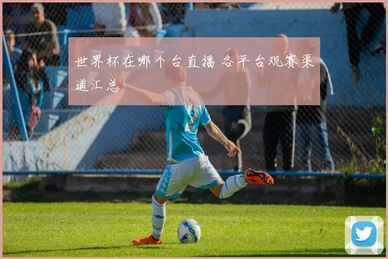 世界杯在哪个台直播 各平台观赛渠道汇总