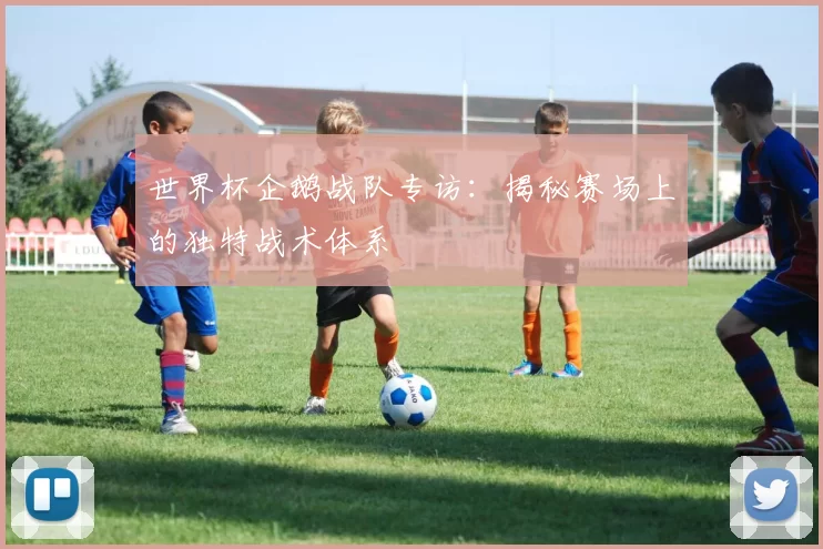 世界杯企鹅战队专访：揭秘赛场上的独特战术体系