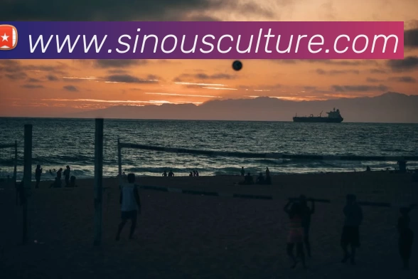 App Interface Preview