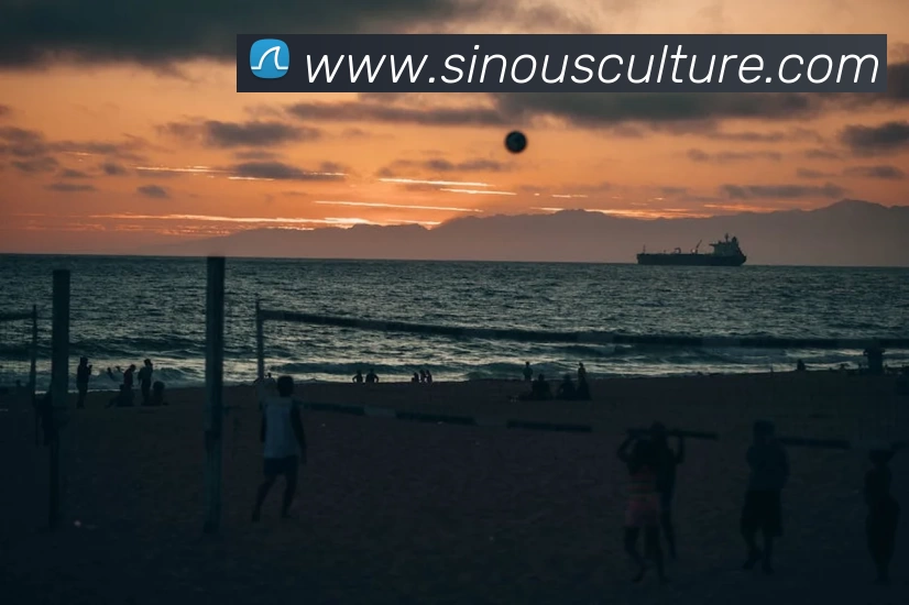 雅博appAPP 封面图